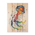 Wile E. Wood 14 x 20 in. Bartholets Rainbow Jellyfish Wood Art DBRJ-1420